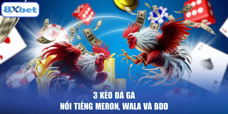 3 kèo đá gà nổi tiếng Meron, wala và BDD